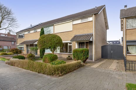 Anemoonstraat thumbnail