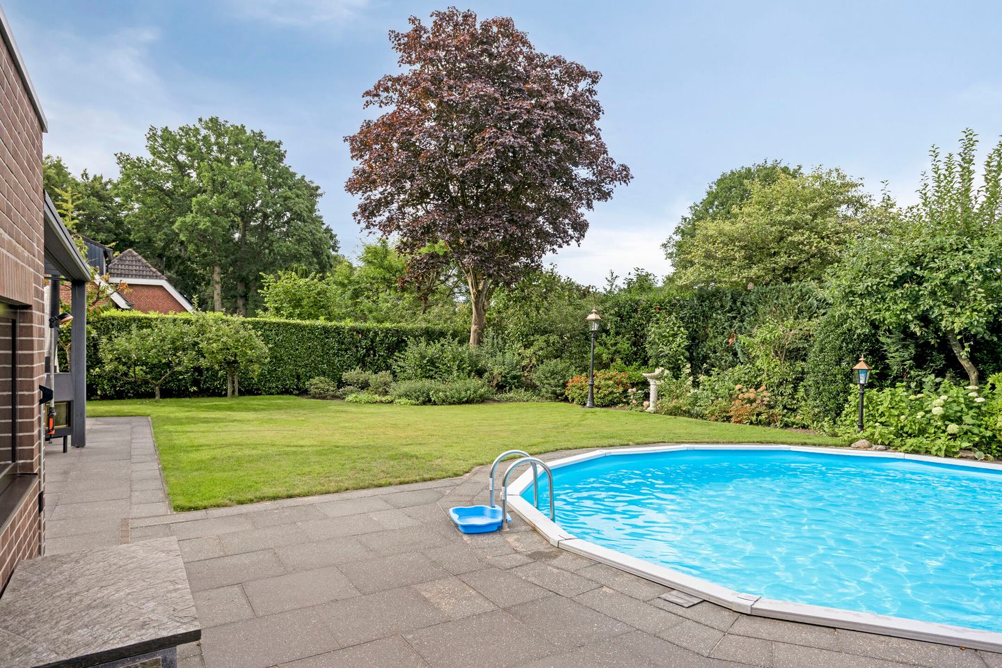 Photo 40 of Vogelwikke 20