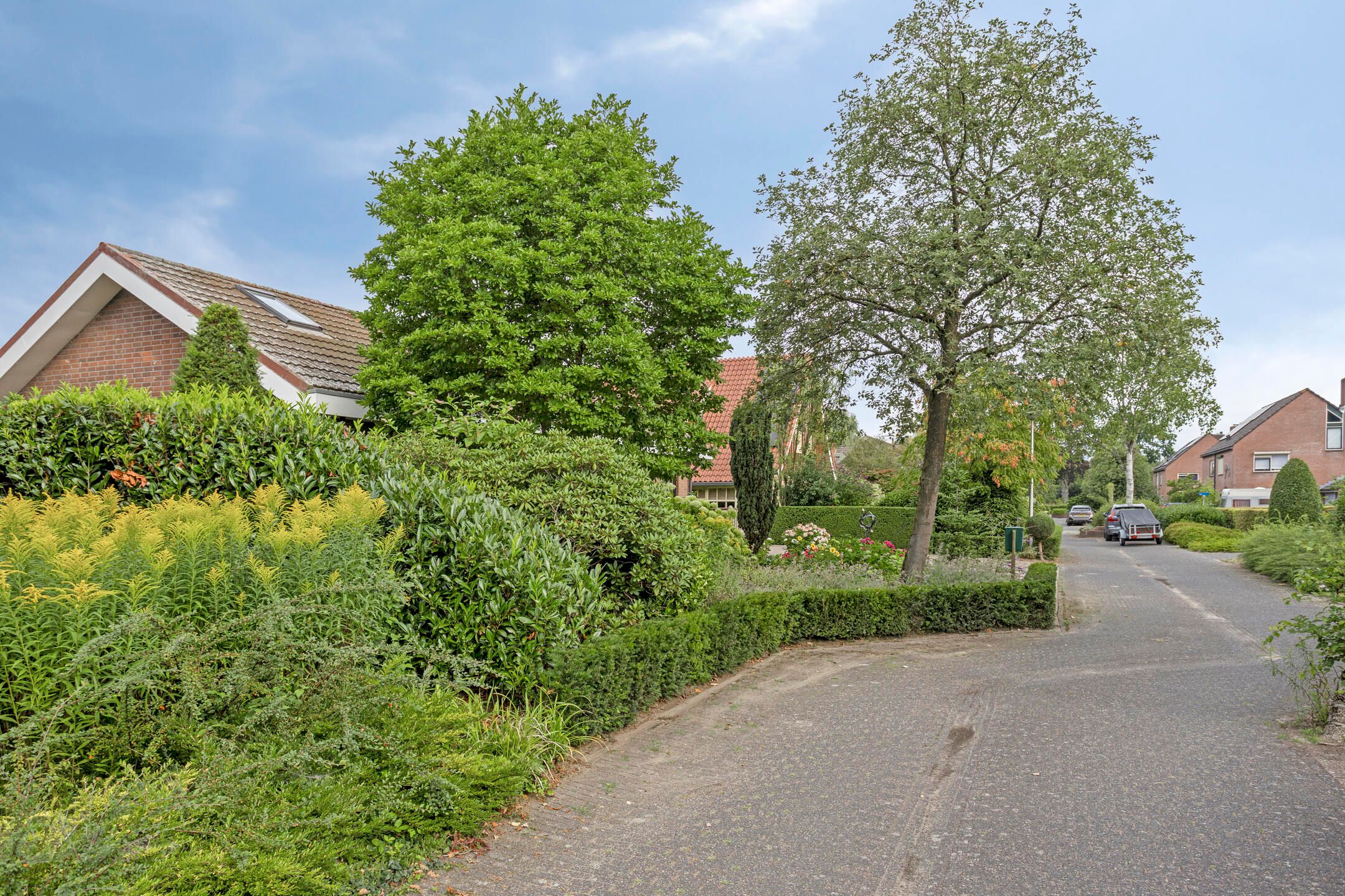 Photo 51 of Vogelwikke 20