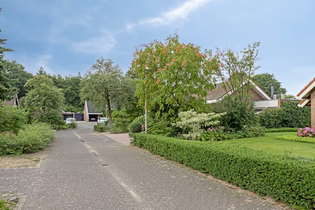 Photo 52 of Vogelwikke 20