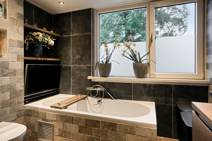 Photo 24 of Het Zwanevlot 173