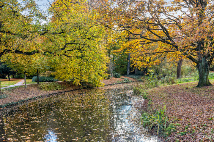 Foto 46 van Bisschopsweg 64