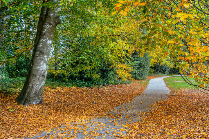 Foto 47 van Bisschopsweg 64