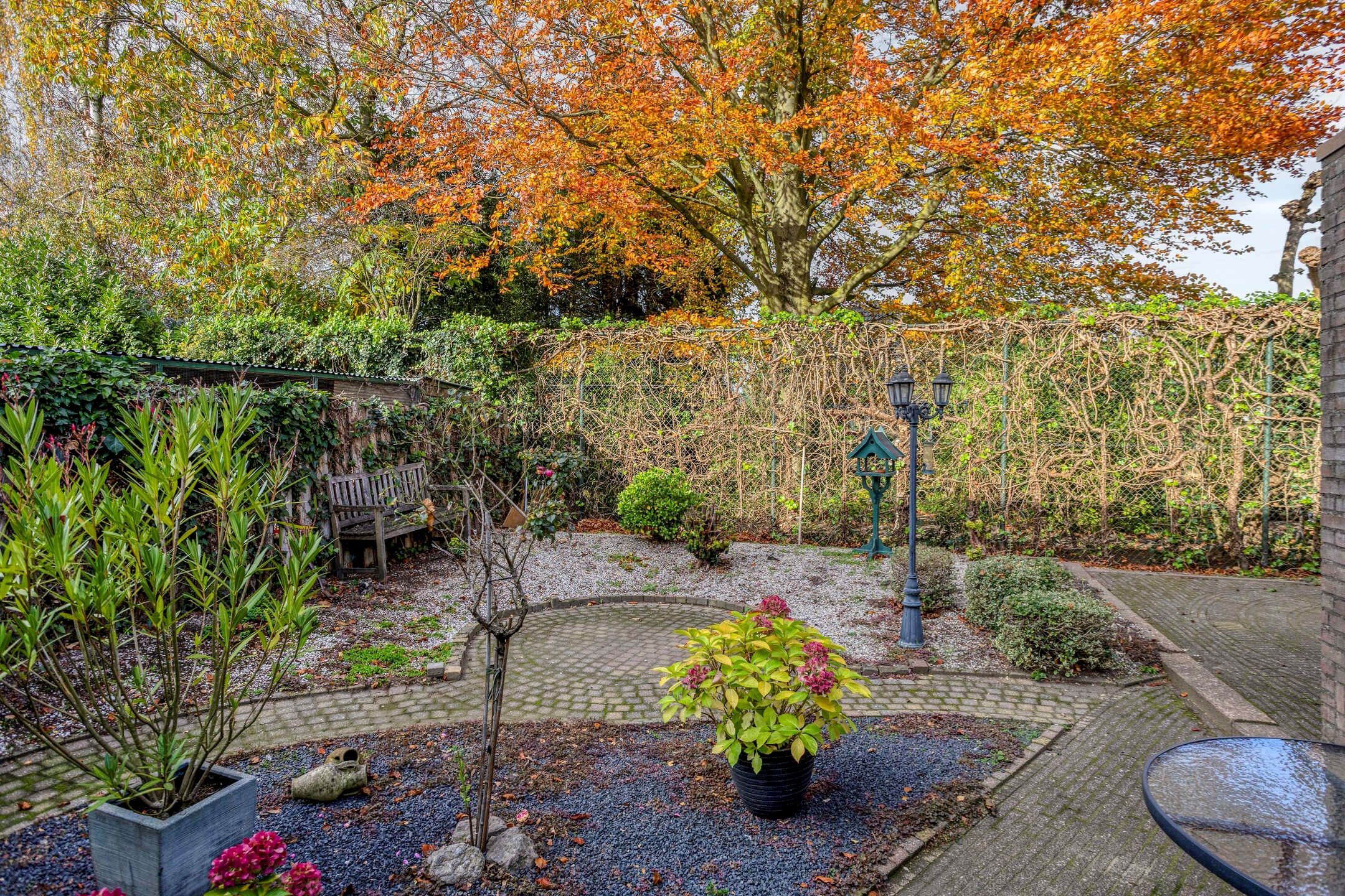 Foto 24 van 't Lange 14