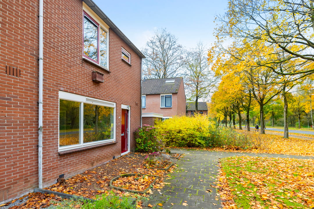 Foto 7 van Kruizemuntstraat 1063