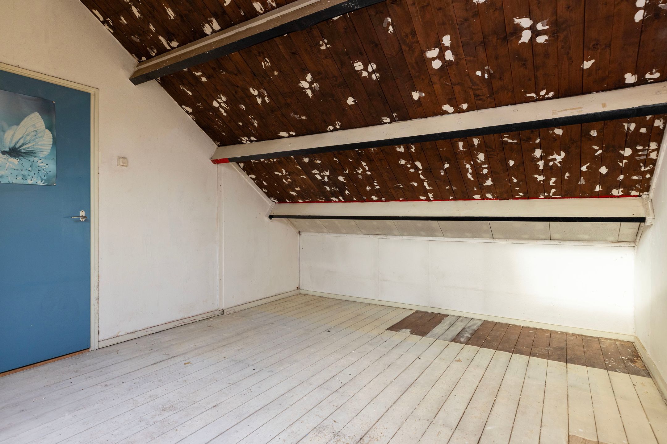 Foto 27 van Kruizemuntstraat 1063