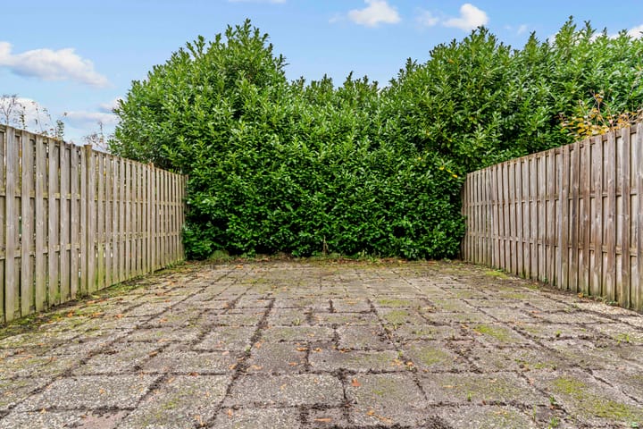 Photo 23 of Koningshof 4