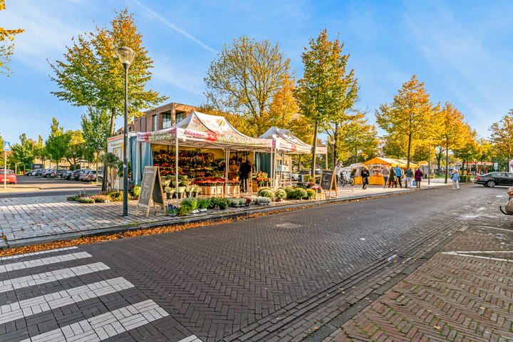 Photo 31 of Koningshof 4