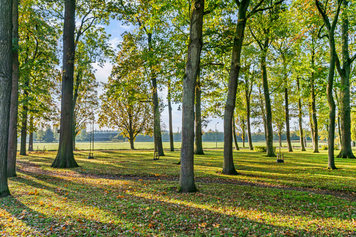 Photo 32 of Koningshof 4