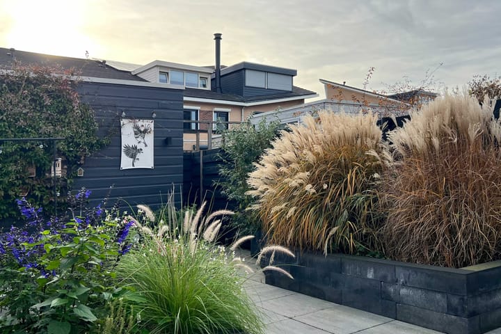 Foto 11 van Catsstraat 11