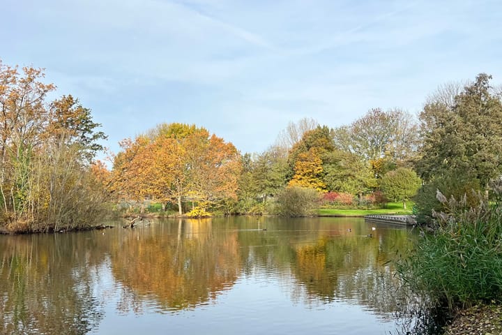 Foto 46 van Catsstraat 11