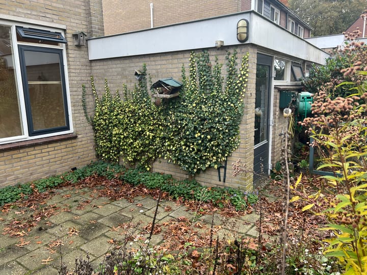 Photo 16 of Emmasingel 108