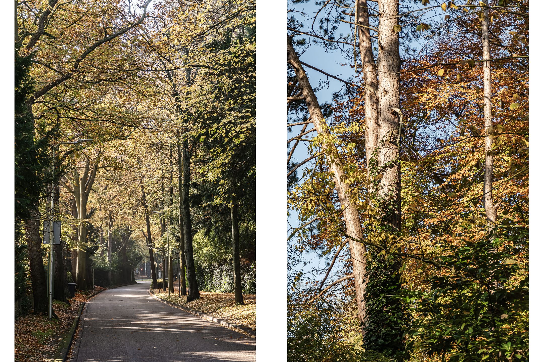 Photo 51 of Teding van Berkhoutlaan 41