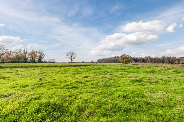 Photo 41 of Koelmansstraat 8