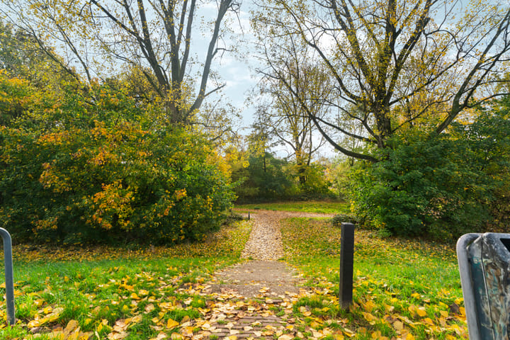 Foto 49 van Wilgenlaan 46