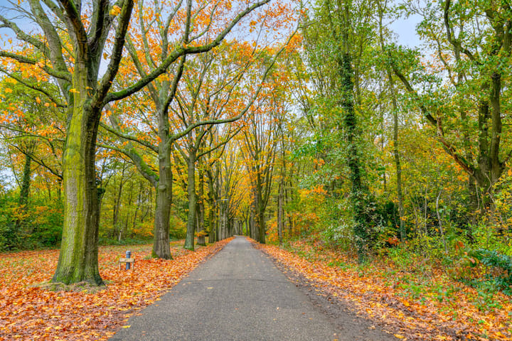 Foto 32 van Hermelijnsingel 20