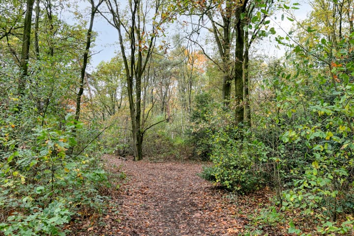 Foto 34 van Hermelijnsingel 20