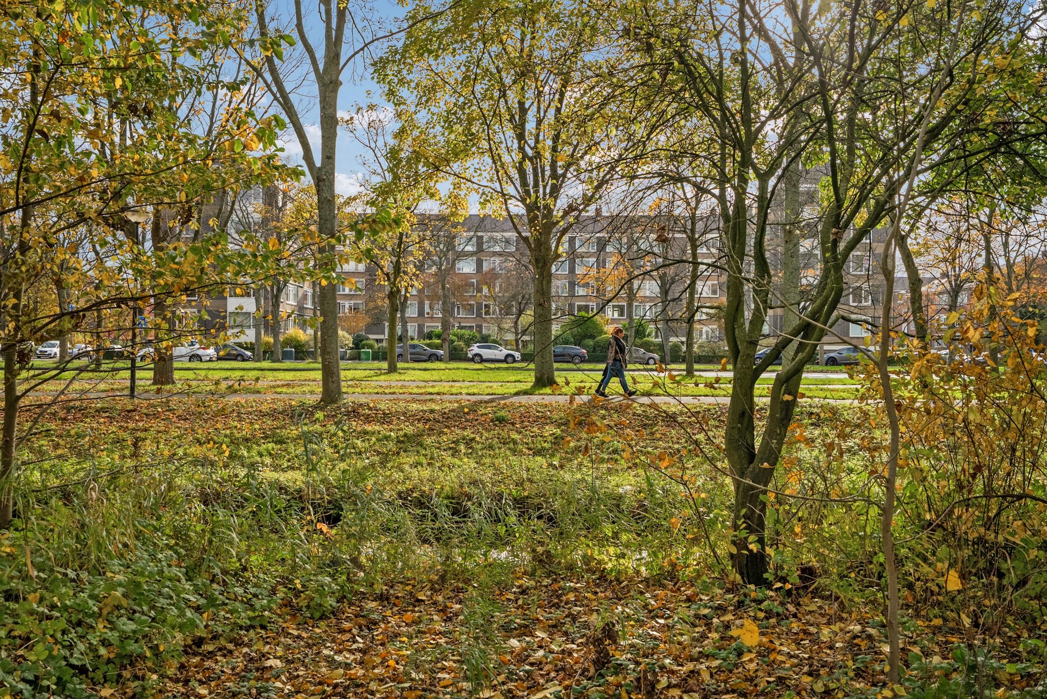 Foto 33 van Generaal Spoorlaan 611