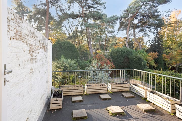 Foto 21 van Frans Halsstraat 3