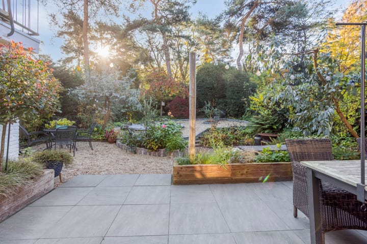 Foto 24 van Frans Halsstraat 3