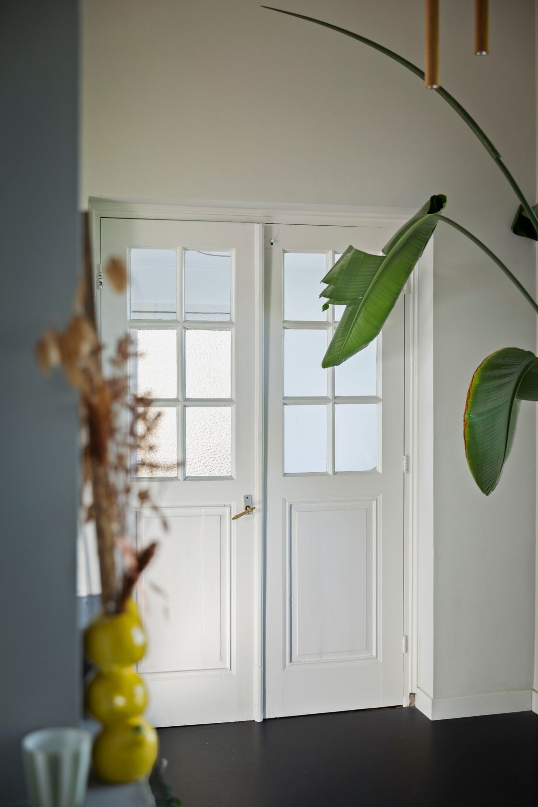 Photo 7 of Bandijk 20