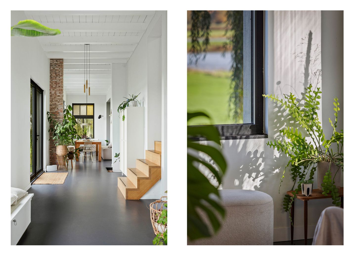 Photo 10 of Bandijk 20