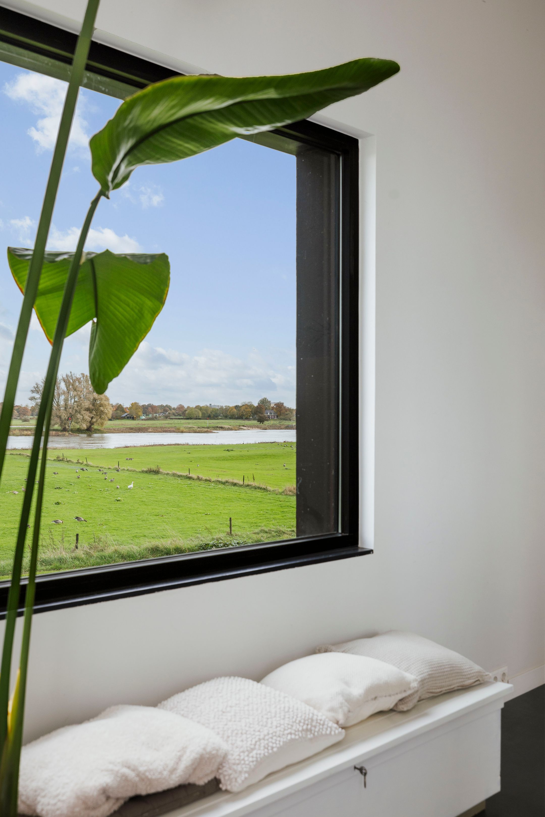 Photo 12 of Bandijk 20