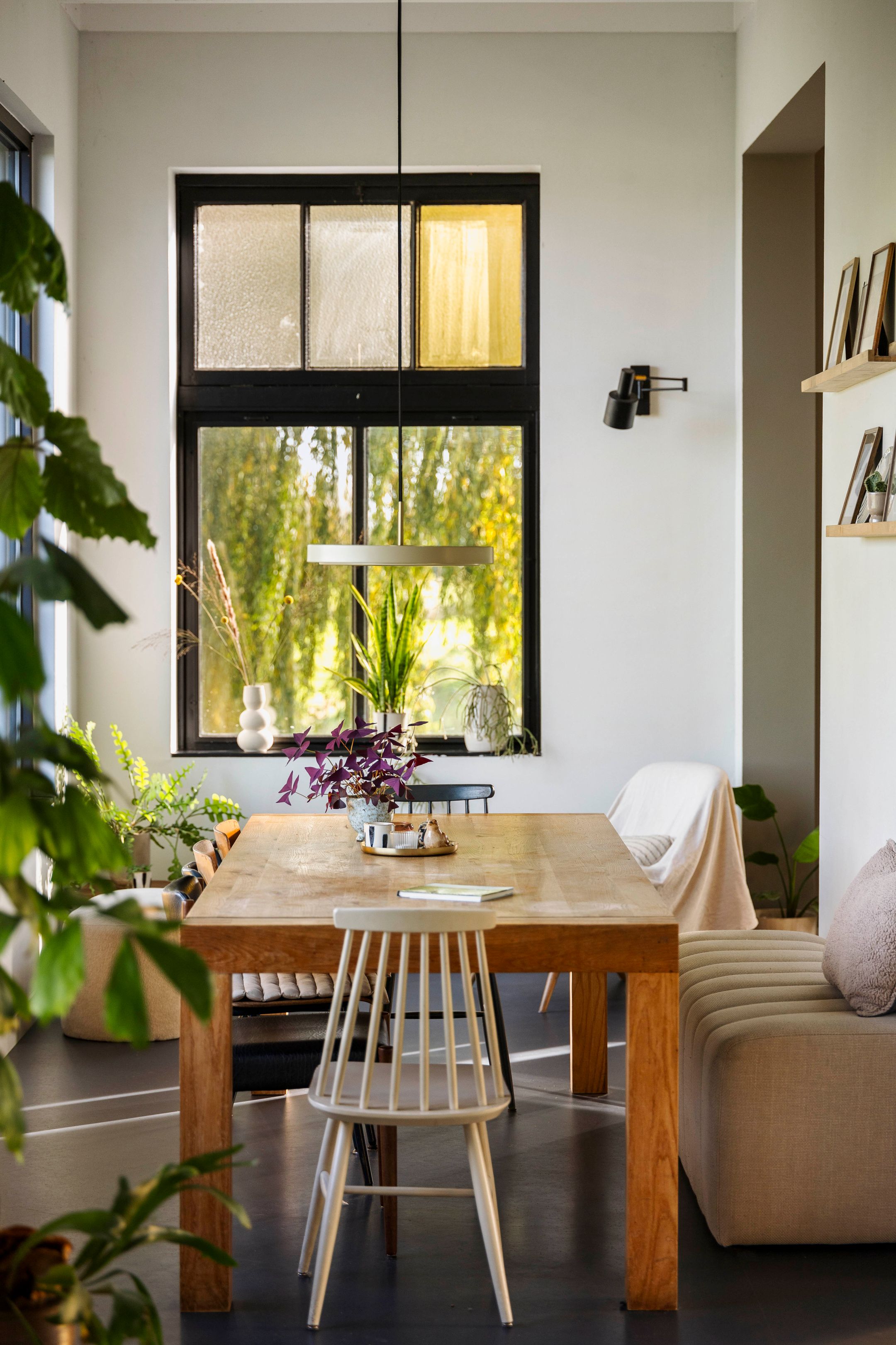 Photo 15 of Bandijk 20