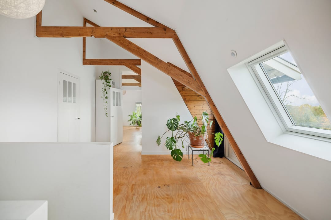 Photo 28 of Bandijk 20