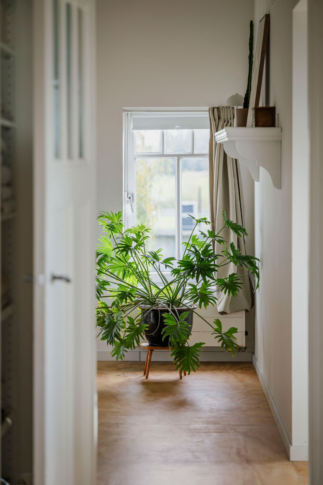 Photo 31 of Bandijk 20