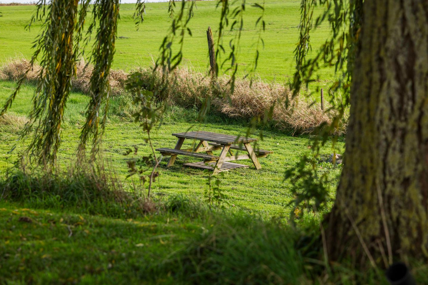 Photo 44 of Bandijk 20