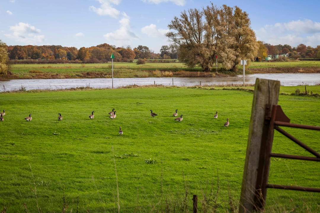 Photo 47 of Bandijk 20