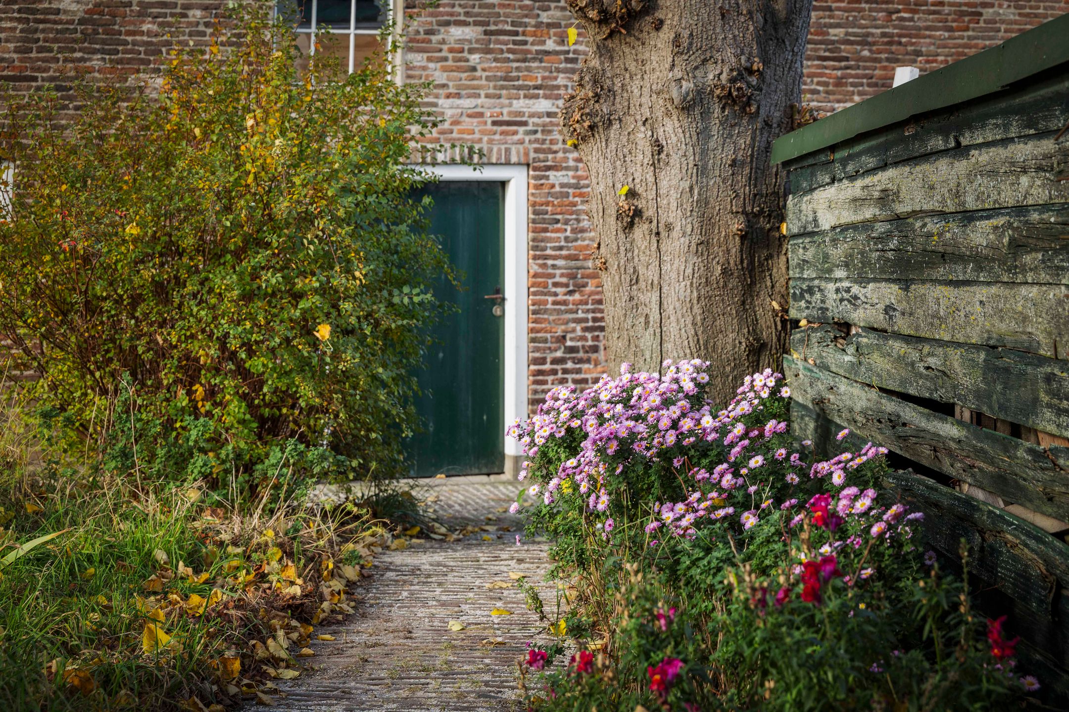 Photo 57 of Bandijk 20