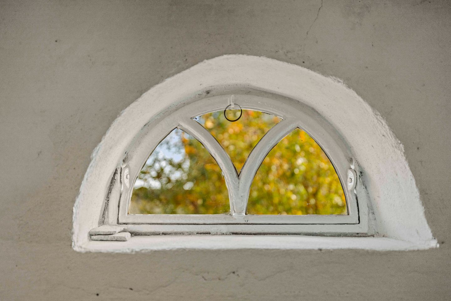 Photo 59 of Bandijk 20