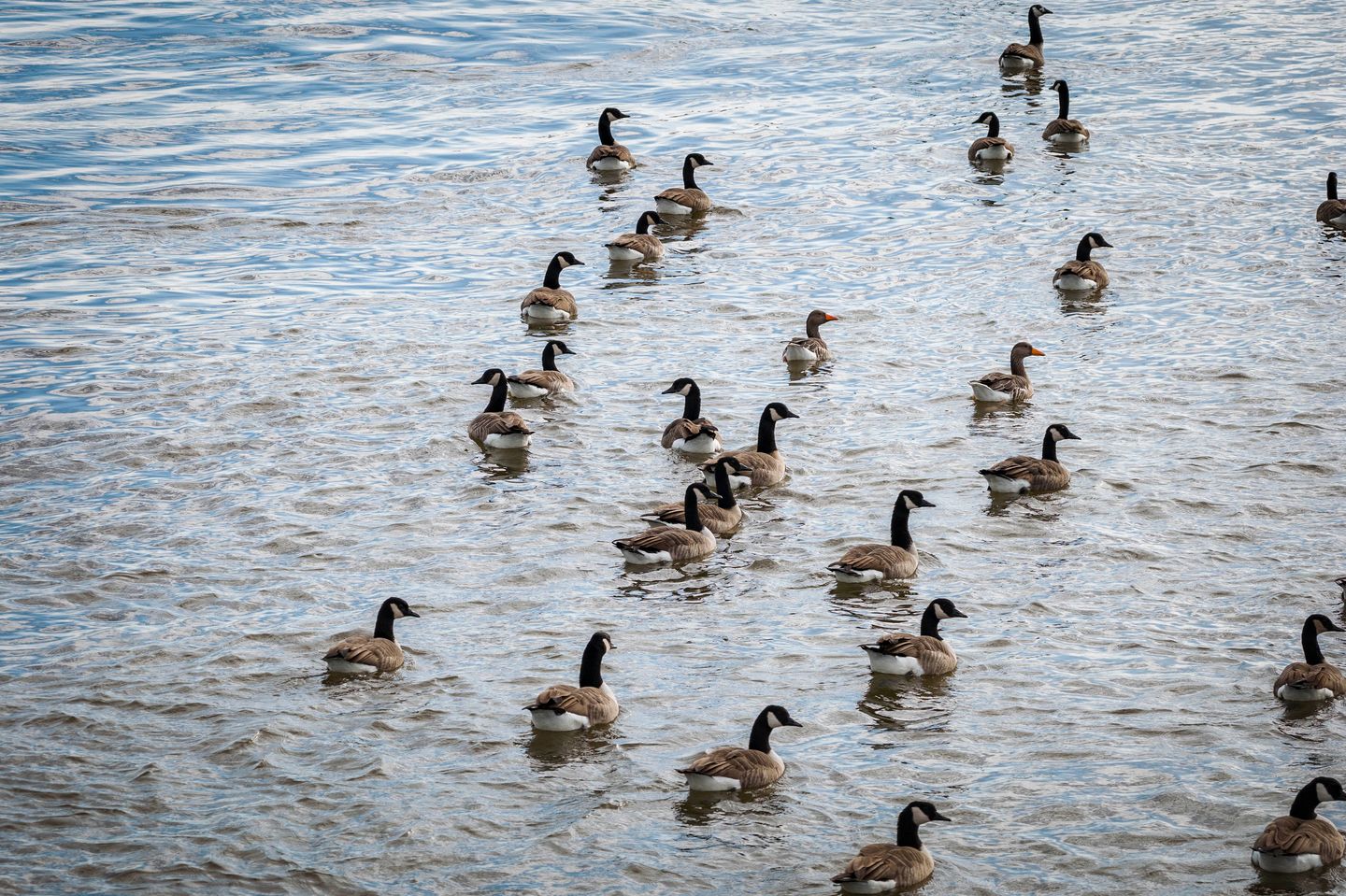 Photo 70 of Bandijk 20