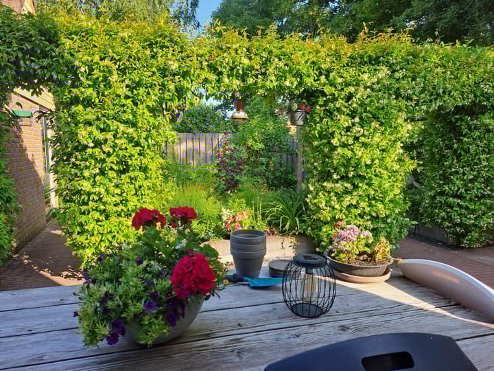 Foto 43 van Boegspriet 2