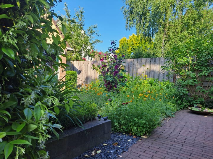 Foto 44 van Boegspriet 2