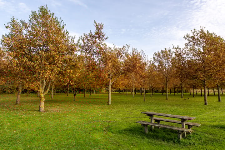 Photo 24 of Populierenlaan 147