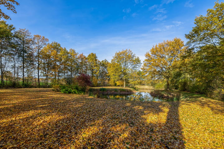 Foto 3 van Buntweg 5