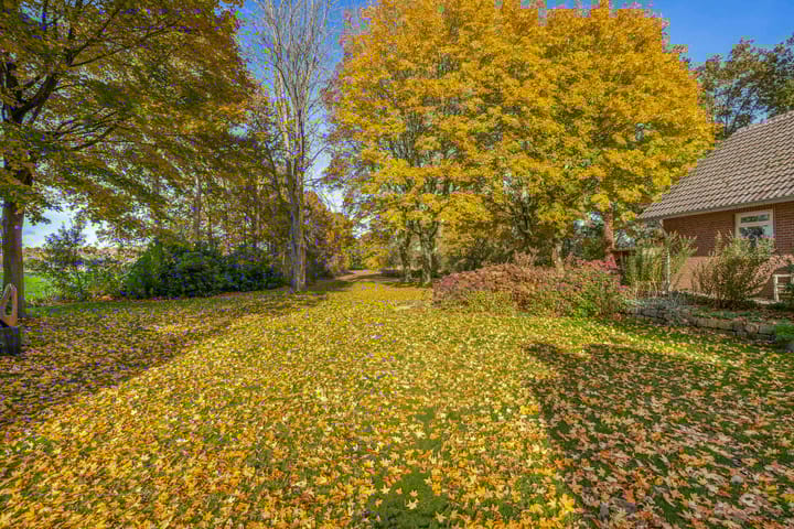 Foto 45 van Buntweg 5