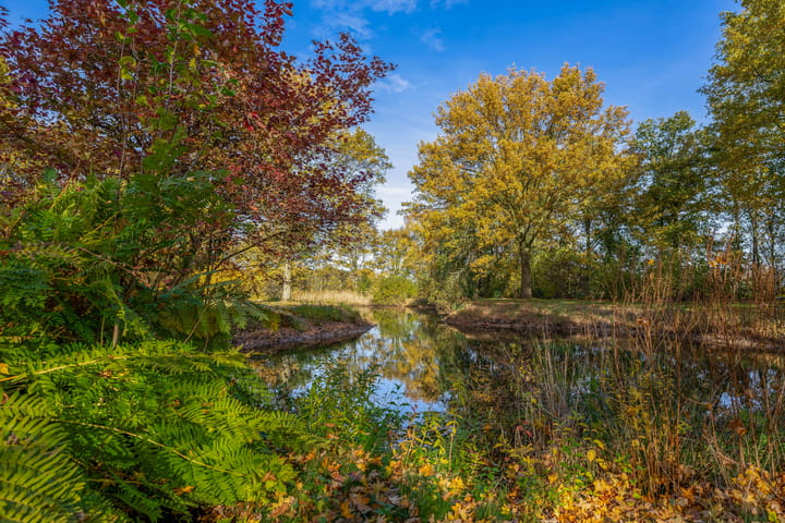 Foto 47 van Buntweg 5