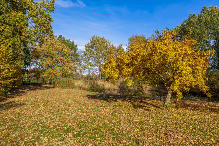 Foto 51 van Buntweg 5