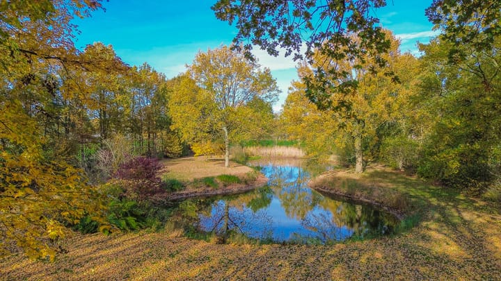 Foto 48 van Buntweg 5