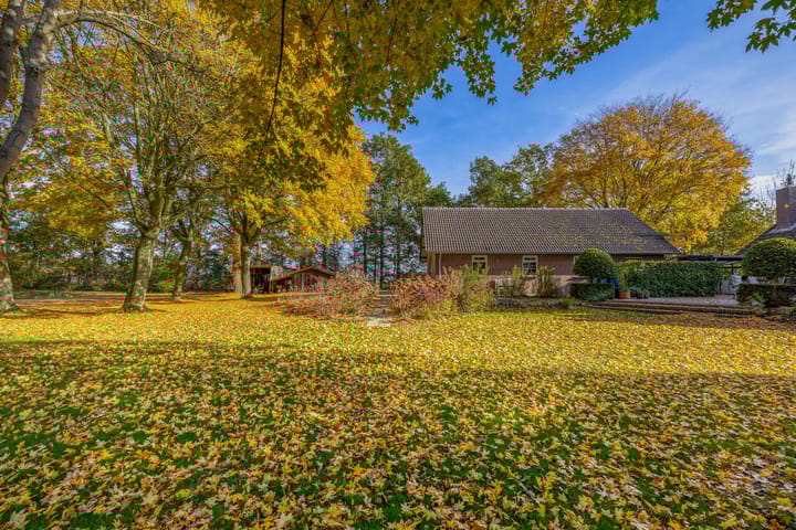 Foto 41 van Buntweg 5