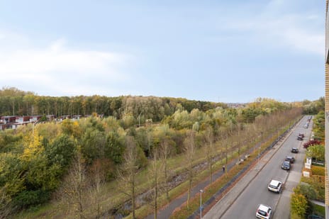 Siersteenlaan 371-a tertiary image