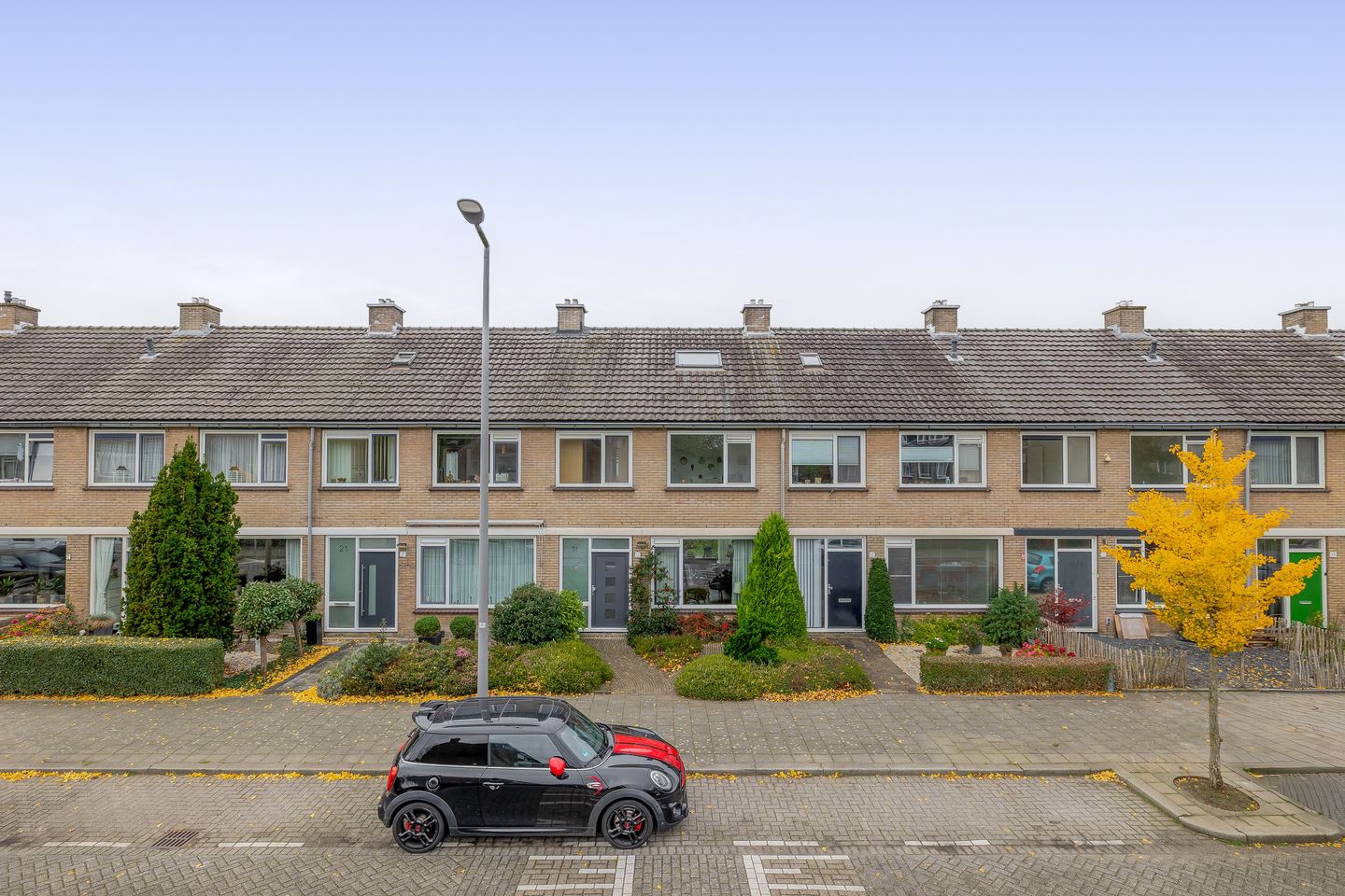 Photo 1 of Balsemkruid 19