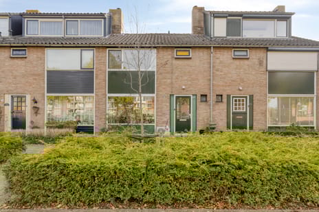 undefined main image