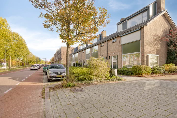 Foto 30 van Gerard Doustraat 68