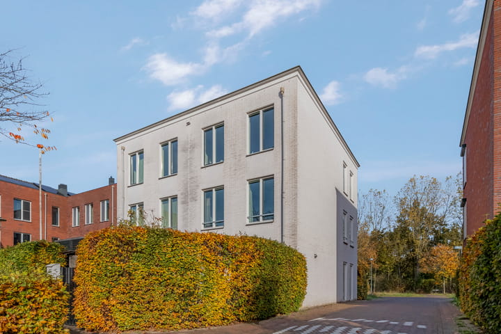 Foto 45 van Het Carré 1