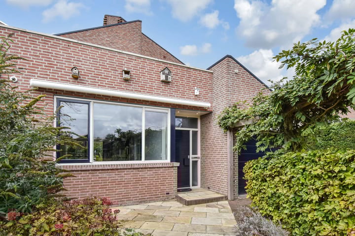 Foto 10 van Palestrinarode 30